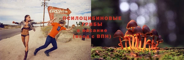 гашиш Абаза