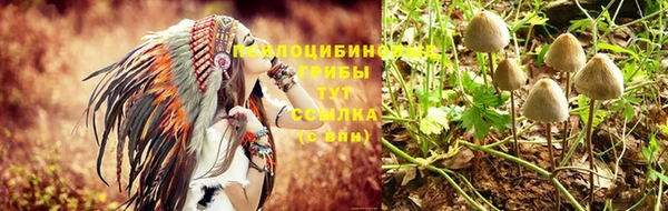 гашиш Абаза