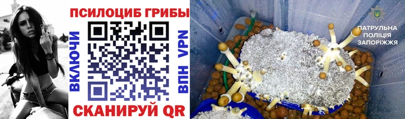 Галлюциногенные грибы GOLDEN TEACHER  что такое наркотик  Лиски 